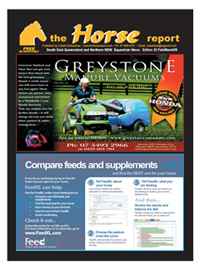 Horse Report, Equestrian News, advertising, Horse Trainers, Vet Farrier, Horse Stud and Breeding