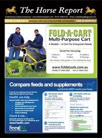 Horse Report, Equestrian News, advertising, Horse Trainers, Vet Farrier, Horse Stud and Breeding