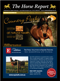 Horse Report, Equestrian News, advertising, Horse Trainers, Vet Farrier, Horse Stud and Breeding