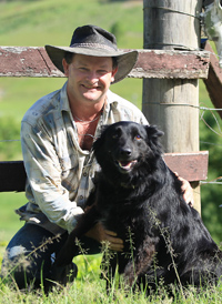 Horse Report, Equestrian News, advertising, Horse Trainers, Vet Farrier, Horse Stud and Breeding