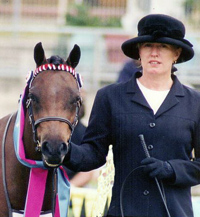 Horse Report, Equestrian News, advertising, Horse Trainers, Vet Farrier, Horse Stud and Breeding